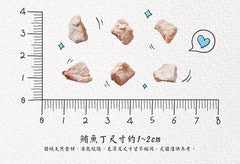 貓侍 冷凍乾燥零食(凍乾)-鮪魚丁 40g